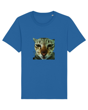 Cat mirage/Ce te miri? Royal Blue