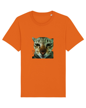 Cat mirage/Ce te miri? Bright Orange