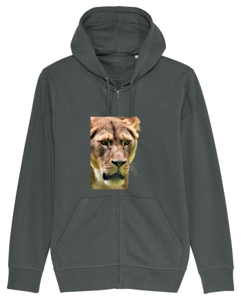Lioness Anthracite