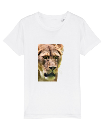 Lioness White
