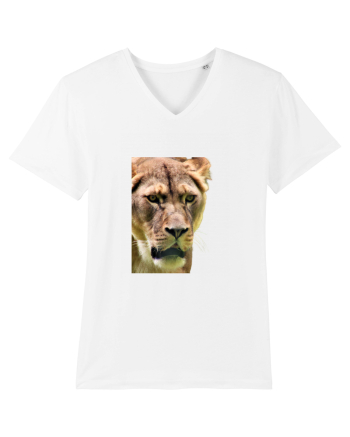 Lioness White
