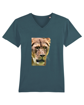 Lioness Stargazer