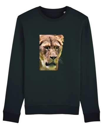 Lioness Black