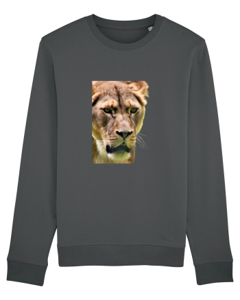 Lioness Anthracite