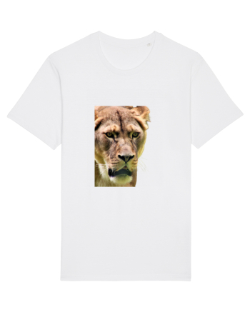 Lioness White