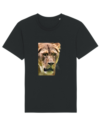 Lioness Black