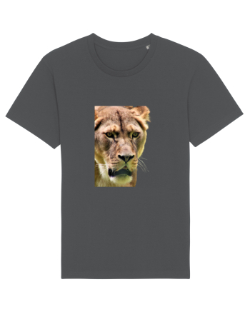 Lioness Anthracite
