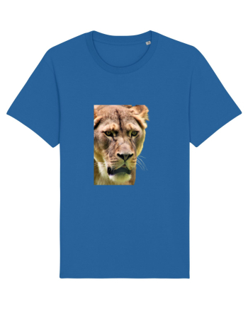 Lioness Royal Blue
