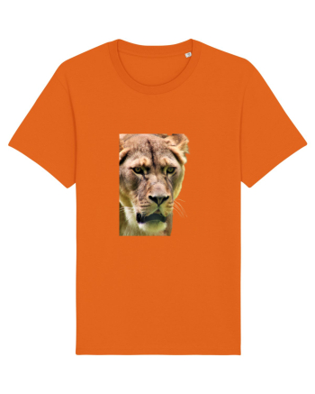 Lioness Bright Orange