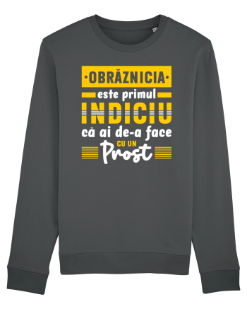Obrăznicia este primul indiciu că ai de-a face cu un prost Anthracite