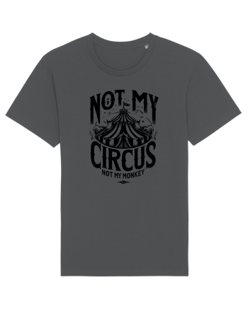 Not my Circus - not my monkey Anthracite