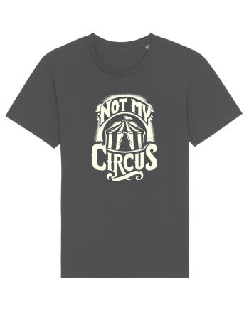 Not my Circus - not my monkey Anthracite
