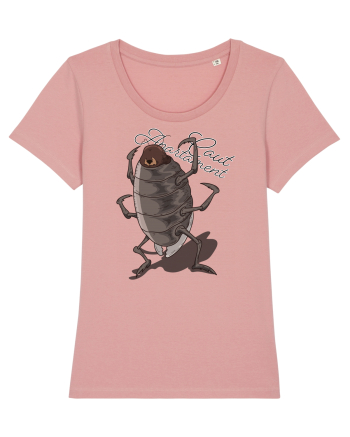 Friendly Cockroach - Caut apartament Canyon Pink
