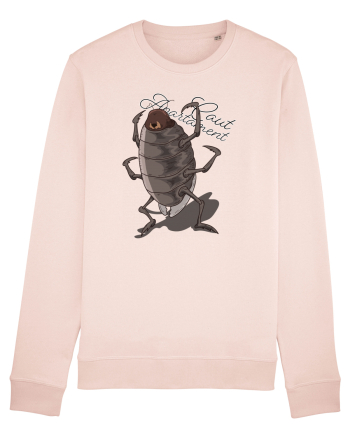 Friendly Cockroach - Caut apartament Candy Pink