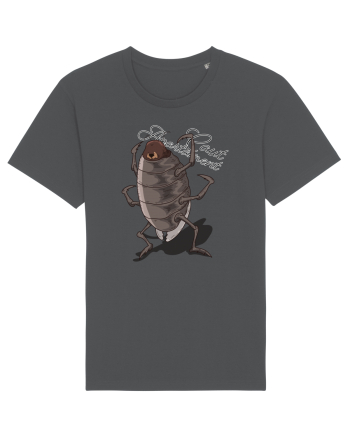 Friendly Cockroach - Caut apartament Anthracite