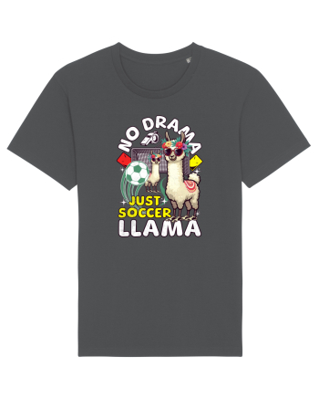 Llama Fotbalistă Anthracite