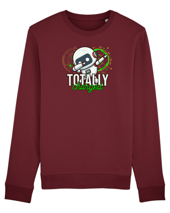 Robot Complet Încărcat Burgundy