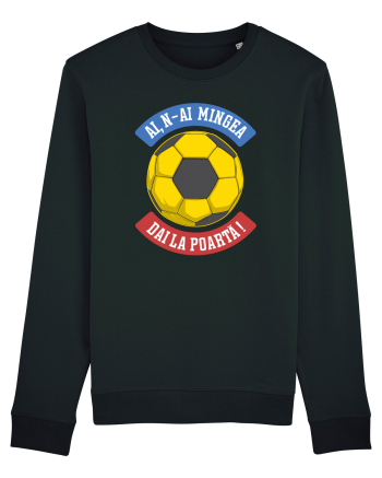Fotbal Romania - Ai,n-ai mingea, dai la poarta Black