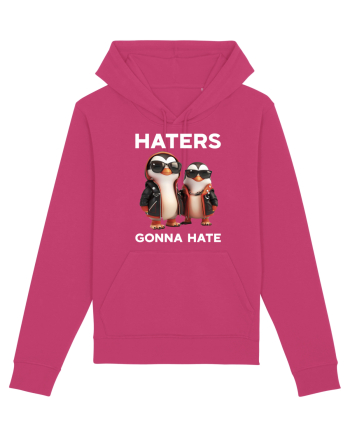 Haters gonna hate v1 Raspberry