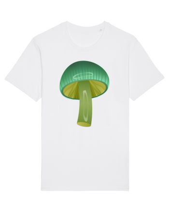 Magic mushroom White