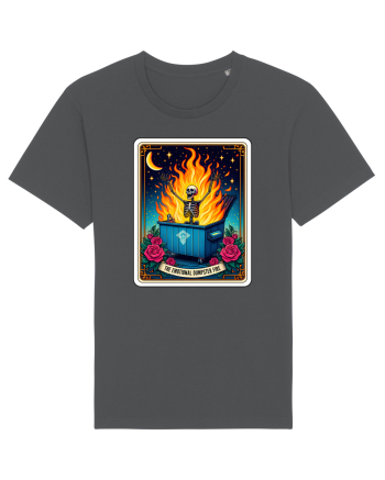 Emotional Dumpster Fire Anthracite