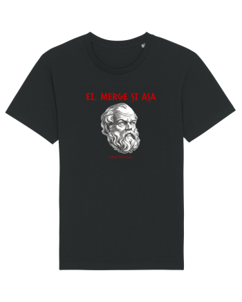 EI, MERGE SI ASA - citat din filosoful Mediocritus Black