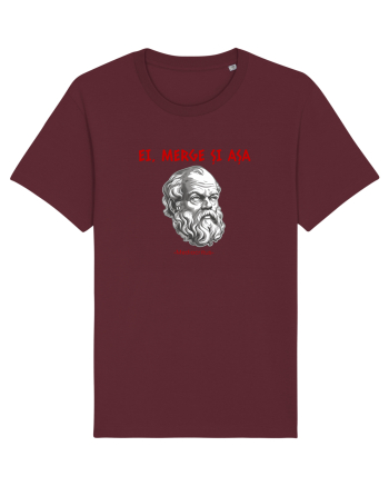 EI, MERGE SI ASA - citat din filosoful Mediocritus Burgundy