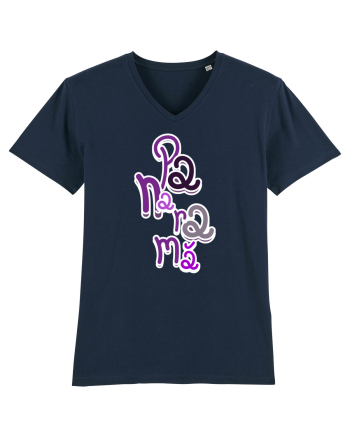 Panarama French Navy