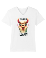 pentru prietenii animalelor - Thanks a llama Tricou mânecă scurtă guler V Bărbat Presenter