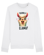 pentru prietenii animalelor - Thanks a llama Bluză mânecă lungă Unisex Rise