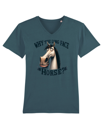 pentru prietenii animalelor - Why the long face, horse Stargazer