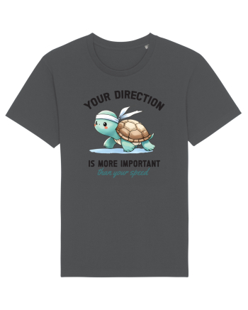 Your direction is more important than your speed Anthracite