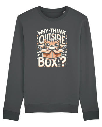 Outside the box - pisica cool 2 Anthracite