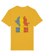 Suporter Romania - Echipa nationala Euro 2024 v1 shadow Tricou mânecă scurtă Unisex Rocker