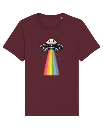 Rainbow Encounter Burgundy
