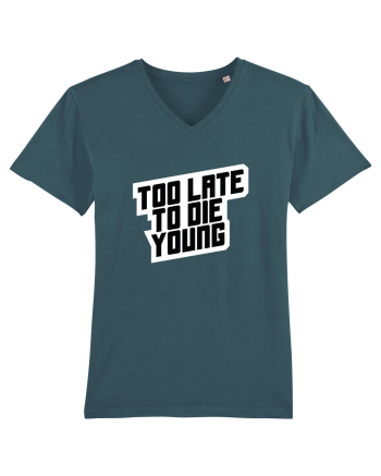 To late to die young Stargazer