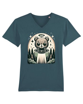 Choose the bear Stargazer