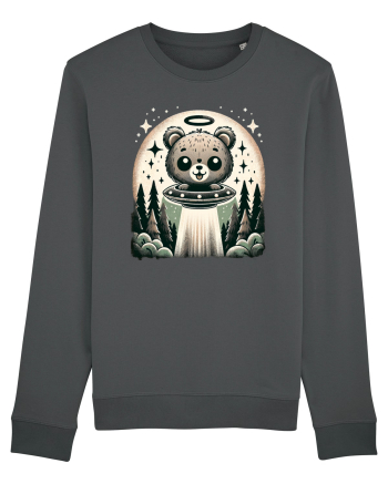Choose the bear Anthracite