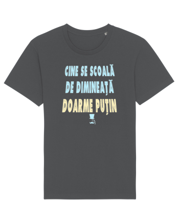 CINE SE SCOALA DE DIMINEATA...DOARME PUTIN :D Anthracite