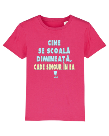 CINE SE SCOALA DE DIMINEATA...CADE SINGUR IN EA :D Raspberry