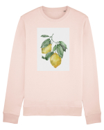 Lemon Bluză mânecă lungă Unisex Rise