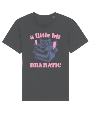 A Little Bit Dramatic Anthracite