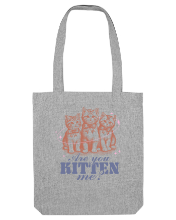 Are You Kitten Me? Heather Grey