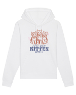 Are You Kitten Me? Hanorac Unisex Drummer