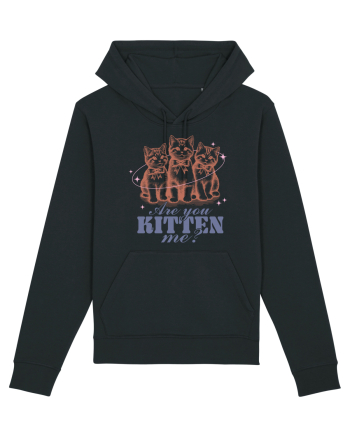 Are You Kitten Me? Black