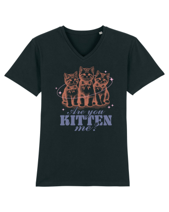 Are You Kitten Me? Black