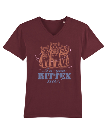 Are You Kitten Me? Burgundy