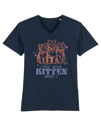 Are You Kitten Me? French Navy