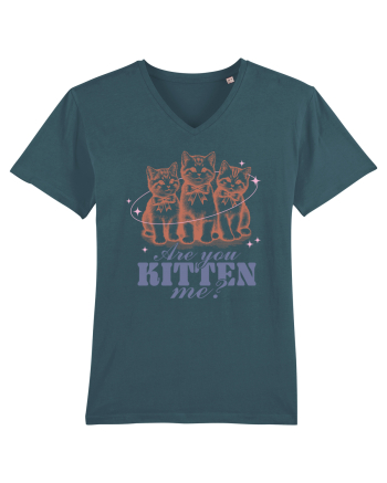 Are You Kitten Me? Stargazer