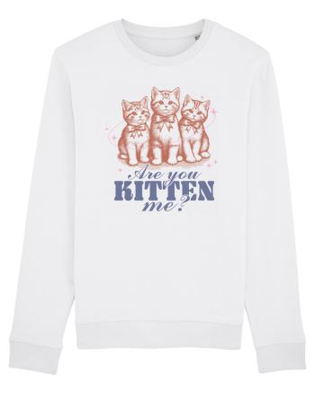 Are You Kitten Me? White